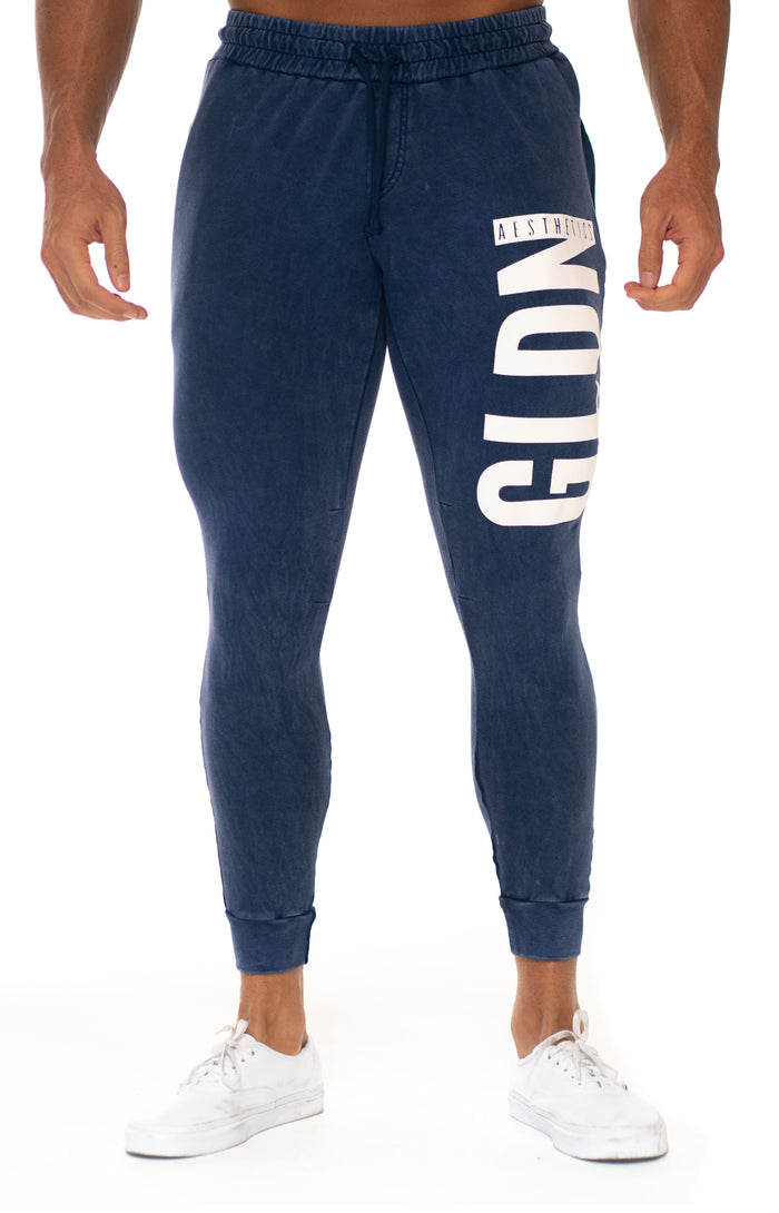 Navy Mineral GLDN Joggers